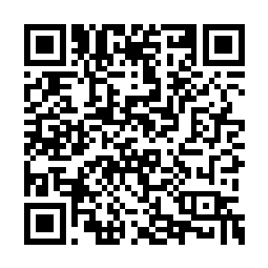 杨再兴身上纯白的羊毛披风已然被鲜血染得透红二维码生成