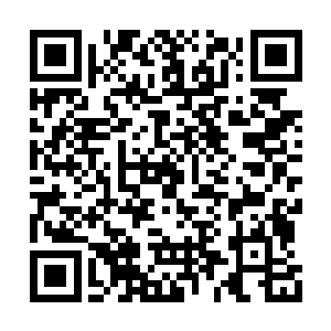 杨博几个人的脸上顿时也露出了一抹兴奋的神情二维码生成