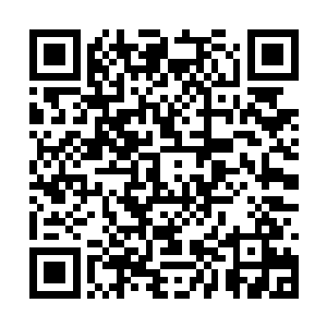 杨大贱人遭遇了踏上这条路以来最大的一次滑铁卢二维码生成