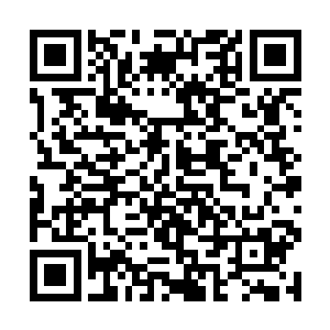 杨大还以为官府也不会听姚若溪的就对他们如何如何二维码生成