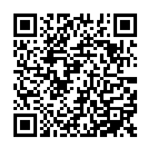 杨威父子只感觉无数无形的耳光直接抽在了脸庞上二维码生成