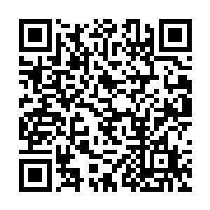 杨家若是对上天玄宗和拜火教的话绝对不会落入下风二维码生成