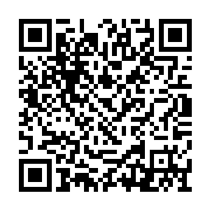 杨建军关注的却是卢向东淮江大学毕业生的身份二维码生成