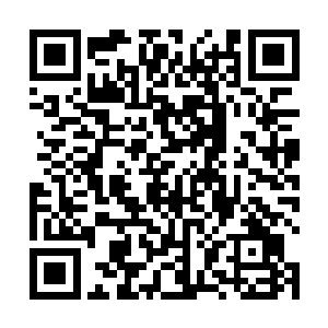 杨开一脸真诚地冲面前的上古凶兽挤出一丝难看的微笑二维码生成
