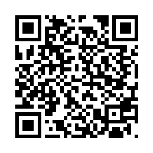 杨开一行人在天妖山内相互扶持配合二维码生成