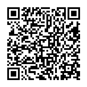 杨开之前得到的那八阶火灵兽体内鸽蛋大小的火晶石与之根本没法相提并论二维码生成