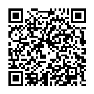 杨开区区一个圣王境居然妄想在如此多的强者面前捷足先登二维码生成