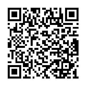 杨开和那些普通人每日除了吃饭睡觉养身体之外二维码生成