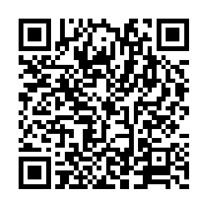 杨开才确定自己真的从噬天虫那获得了飞天之力二维码生成