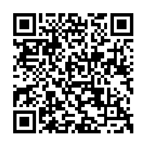 杨开本还想要不要跟李诗晴坦白一些真实的情况二维码生成