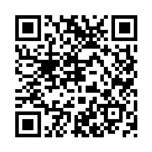 杨开来到了世界树子树树身的某一处位置二维码生成