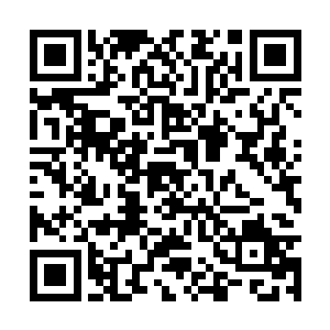 杨开清楚地感受到自己的骨头内传来了剧烈的温热二维码生成