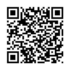 杨开炼制出两枚生有丹纹的离火丹二维码生成