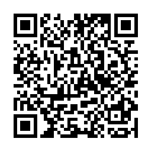 杨开的百万剑在距离山河钟不到一寸的地方停了下来二维码生成