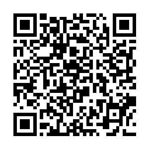 杨开精神抖擞地冲进一团散发着耀眼绿光的云雾之中二维码生成