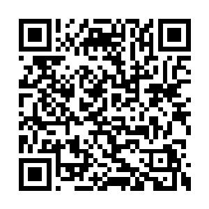 杨开自身的力量因为收入太多墨徒而受到了影响二维码生成