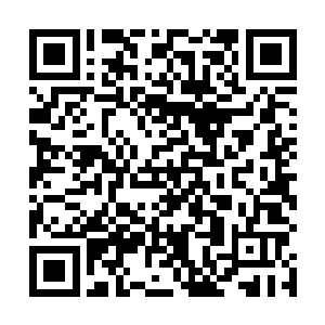 杨恩乔就感觉一个崭新的世界似乎在自己面前徐徐展开二维码生成