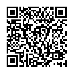 杨意的爷爷是京城隆兴集团的四大骨干之一的杨度梓二维码生成