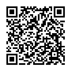 杨戬两个人的攻击也瞬间落到了蓝衣青年的身上二维码生成