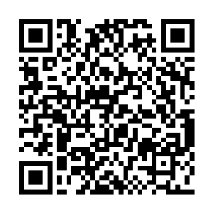 杨戬只感觉自己体内的真元仿佛瞬间沸腾了一般二维码生成