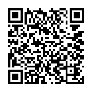 杨戬只是从里面收取了一些对自己比较有用的东西二维码生成