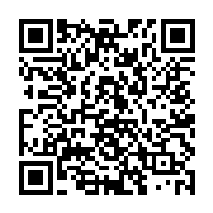 杨戬将收服的这些高手也从造化图空间之中放了出来二维码生成