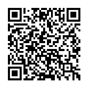 杨戬的脸上顿时也是露出了一抹无比自信的神情二维码生成