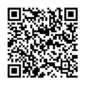 杨戬的身上显然是不可能拿出跟这个相媲美的东西二维码生成