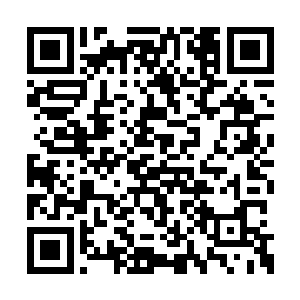 杨戬的身形顿时也是离开了七宝妙树笼罩的范围二维码生成