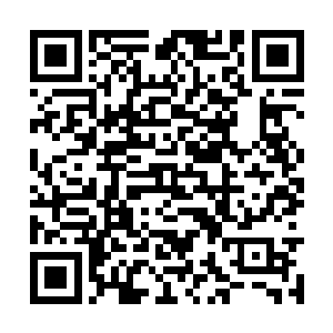 杨明肯定跟上面汇报时说这些事自己都跟他商量过二维码生成