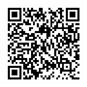 杨晓芸开心的走到了孙子轩的跑到了孙子轩的面前二维码生成