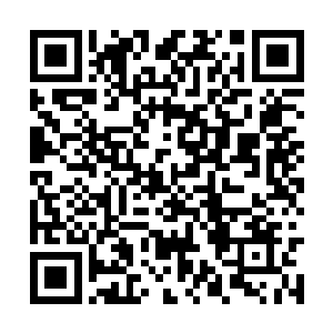 杨晨今天一早便说要出灵谷去寻找境界元婴的机遇二维码生成