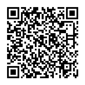 杨晨从背后将一个拇指大小如蜜蜂一般的生物住在手里放到赵羽的面前说道二维码生成