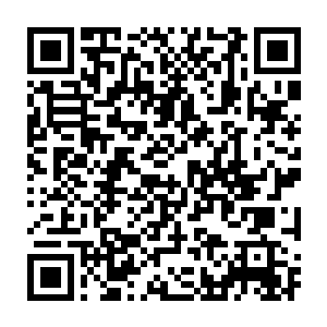 杨晨以金丹期的实力如果不是脑子烧坏了的话是不可能跑去盆地的二维码生成