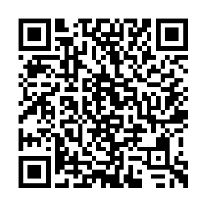 杨晨先将大师兄曾义所给的防御阵旗散播在四周二维码生成