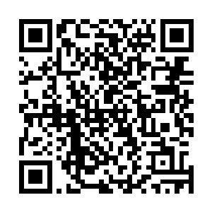 杨晨准备先让冰眼火焰蛇将妖气取出之后再让它跟小金接触二维码生成