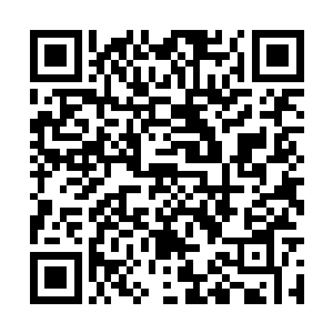 杨晨区区一个金丹期实力还能在他眼皮子地下逃过二维码生成