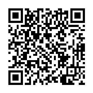 杨晨感觉自己已经变成了另外一个人大天使长加百列二维码生成