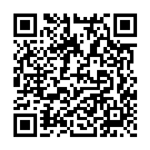 杨权说自己已经被上级要求放下手中所有的工作二维码生成