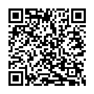 杨洛和王彤的事情在整个警队已经不是什么秘密二维码生成