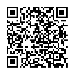 杨洛和陈保富这两代军人没有丝毫掩饰的真性情二维码生成