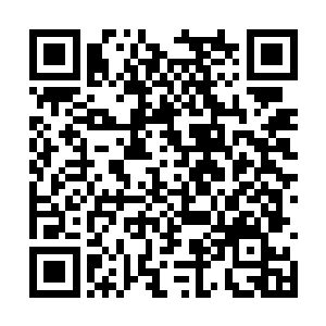 杨洛看着巨石后人影一闪就知道这些家伙忍不住了二维码生成