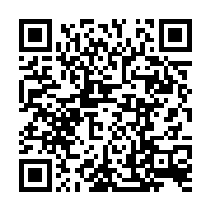 杨洛站在后面听了半天也不知道这些人是为什么来二维码生成