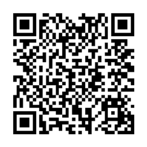 杨眉当然能够感觉到赵雅博热情里有种特别的意味二维码生成