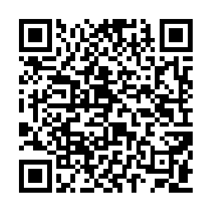 杨程程没等到丁长生汇报关于农信社贷款的汇报二维码生成