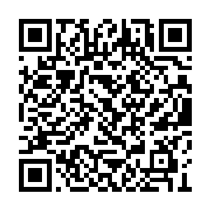 杨肖玫若是放在古代肯定是个祸国殃民级的女人二维码生成