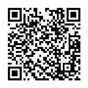 杨辰出奇地很想安抚下这个曾经只会杀人的女忍者二维码生成