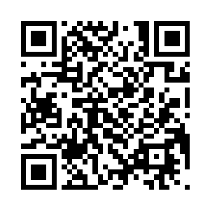 杨辰头也不回地朝自己房间的方向走去二维码生成