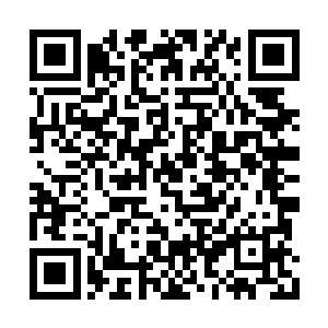 杨辰好似无意地转头望向一旁脸如菜色的朱康宇二维码生成