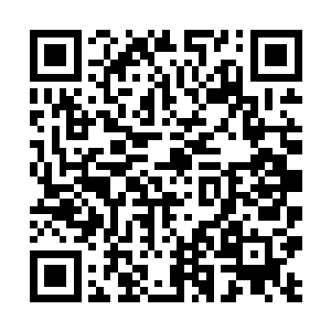 杨辰已经能够看到车后座上莫倩妮那柔美丰腴的身段二维码生成